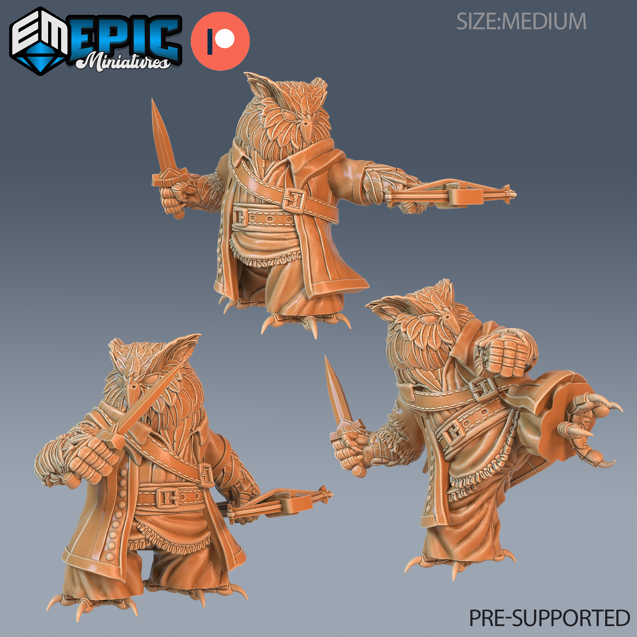 Bird Folk Owl Ranger